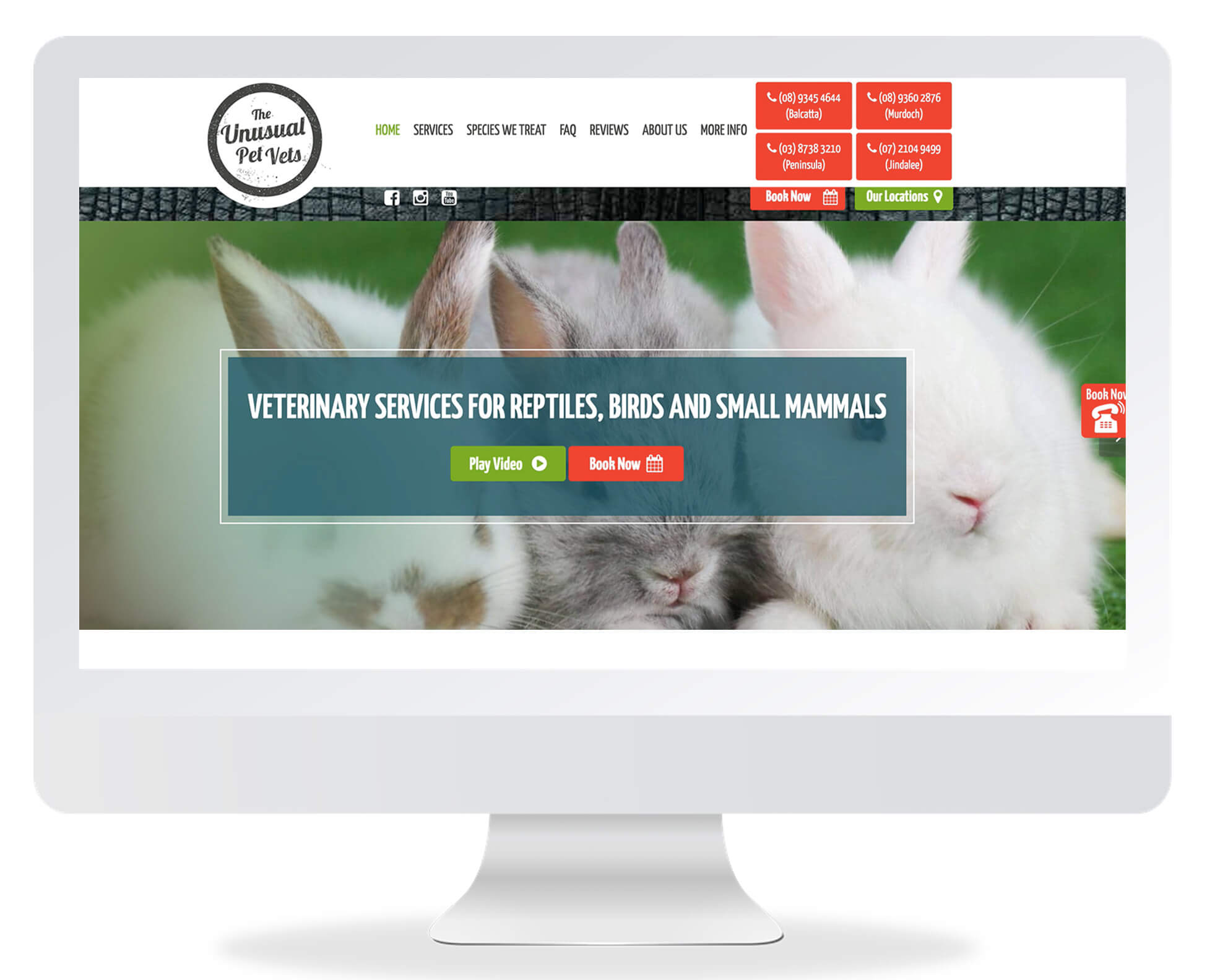 Unusual Pet Vets before Unusual Pet Vets before